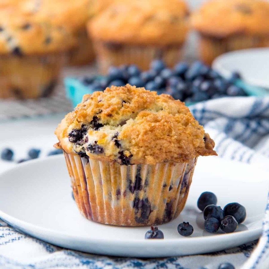 Bueberry Muffin — Axiom Coffee, Fort Worth